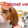 HelpVet - Cabinet veterinar Constanta