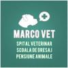 MarcoVet - Hotel animale Voluntari, Ilfov