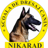 Nikarad - Dresaj Arad