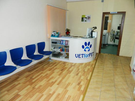VET for PET - Cabinet veterinar Cluj-Napoca, Cluj