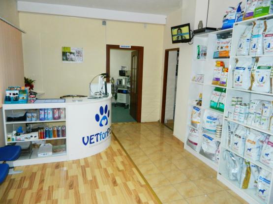 VET for PET - Cabinet veterinar Cluj-Napoca, Cluj
