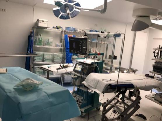 Centru de endoscopie și chirurgie minim invazivă veterinară - Cabinet veterinar sector 1, Bucuresti