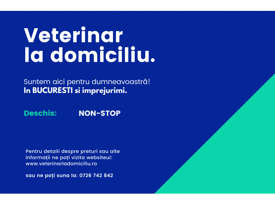 Veterinar la domiciliu - Cabinet veterinar sector 3, Bucuresti