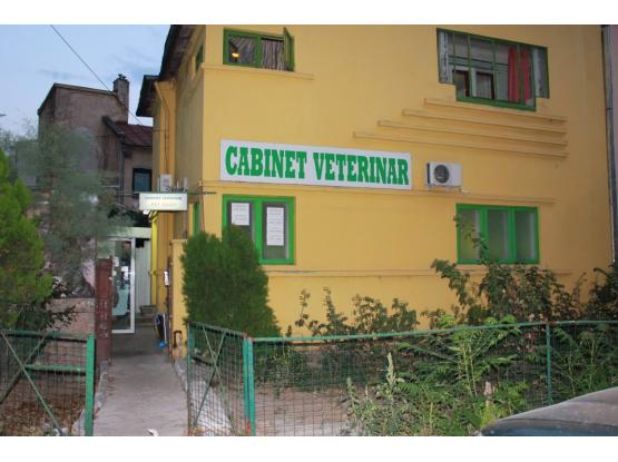 Iraida Vet - Cabinet veterinar sector 3, Bucuresti