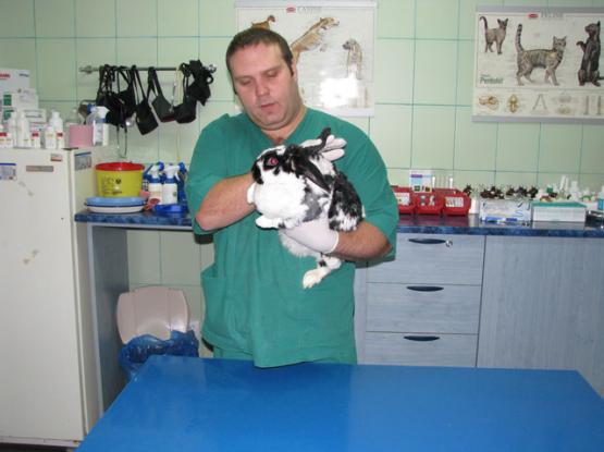 TrickVet Tineretului - Cabinet veterinar sector 4, Bucuresti