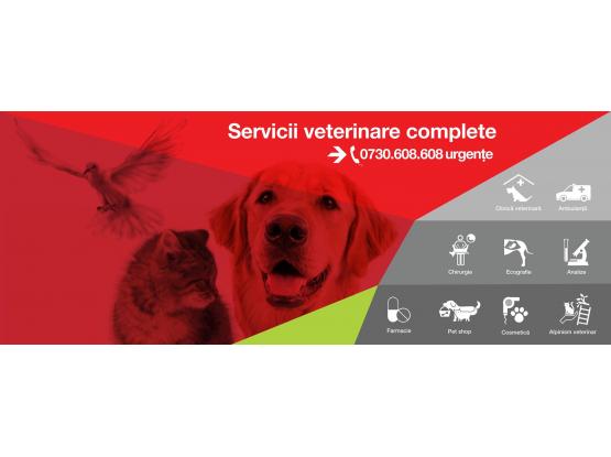 Speedvet - Cabinet veterinar sector 5, Bucuresti
